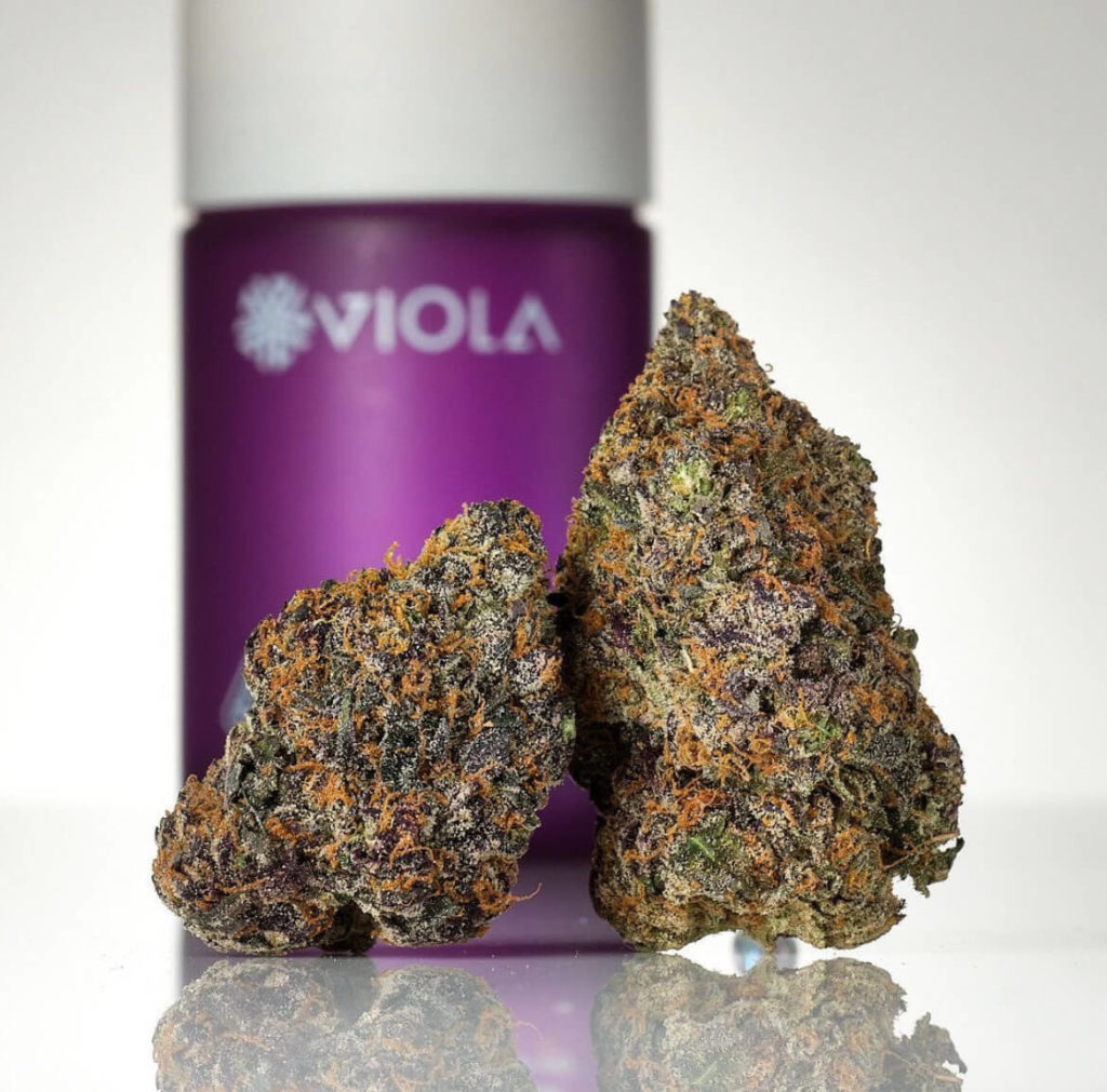 viola brand cannabis nug Cannabis Media & PR