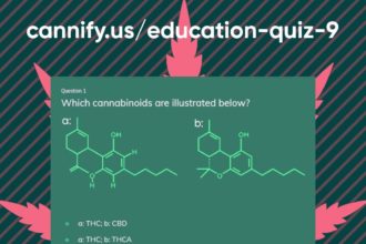 cannify quiz free account Cannabis Media & PR