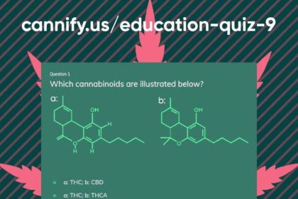 cannify quiz free account Cannabis Media & PR