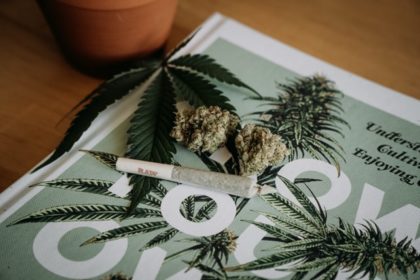 a cannabis joint