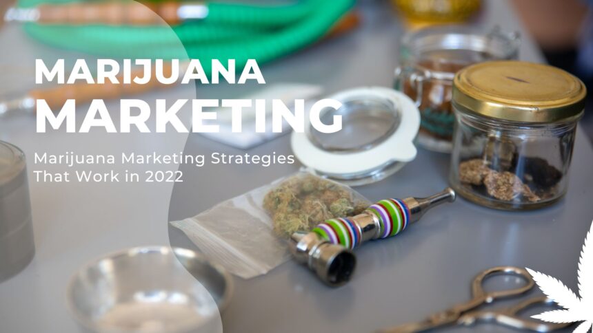cannabis media marketing Cannabis Media & PR